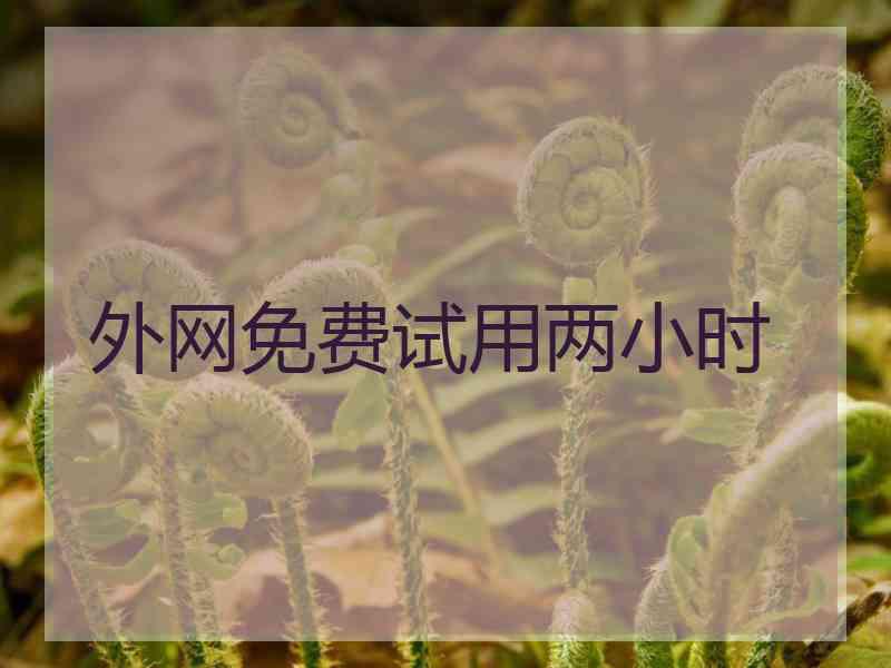 外网免费试用两小时