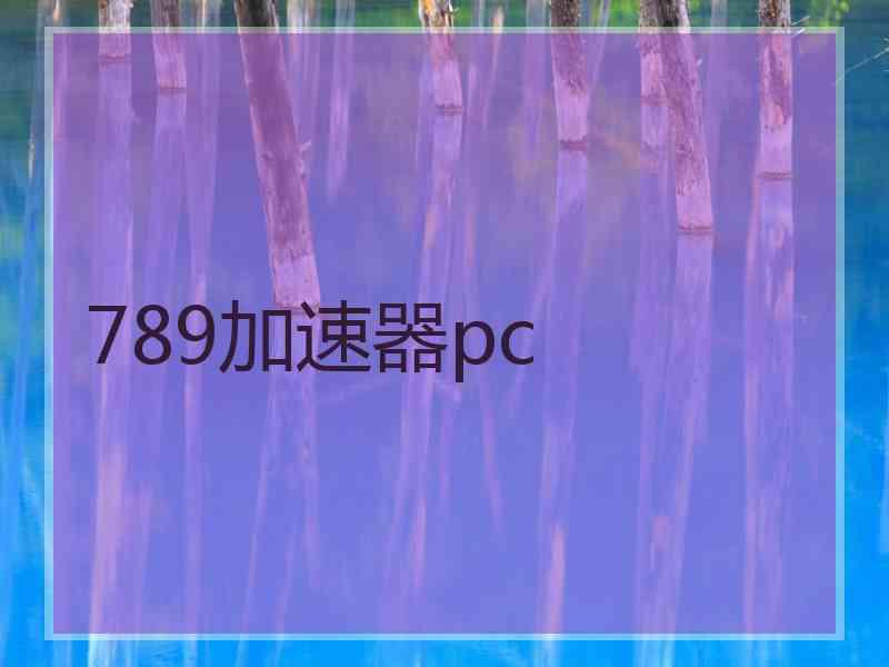 789加速器pc