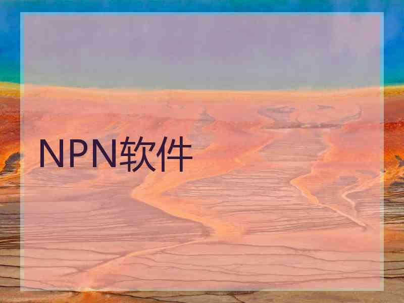 NPN软件