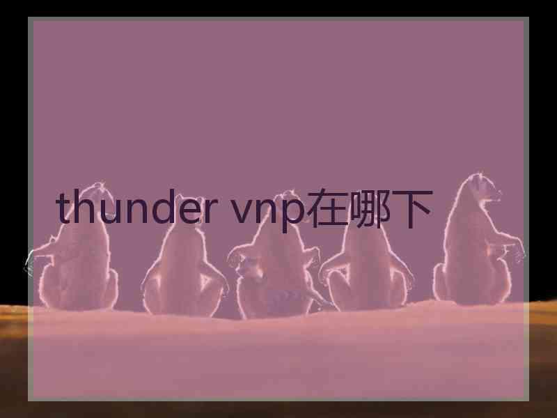 thunder vnp在哪下