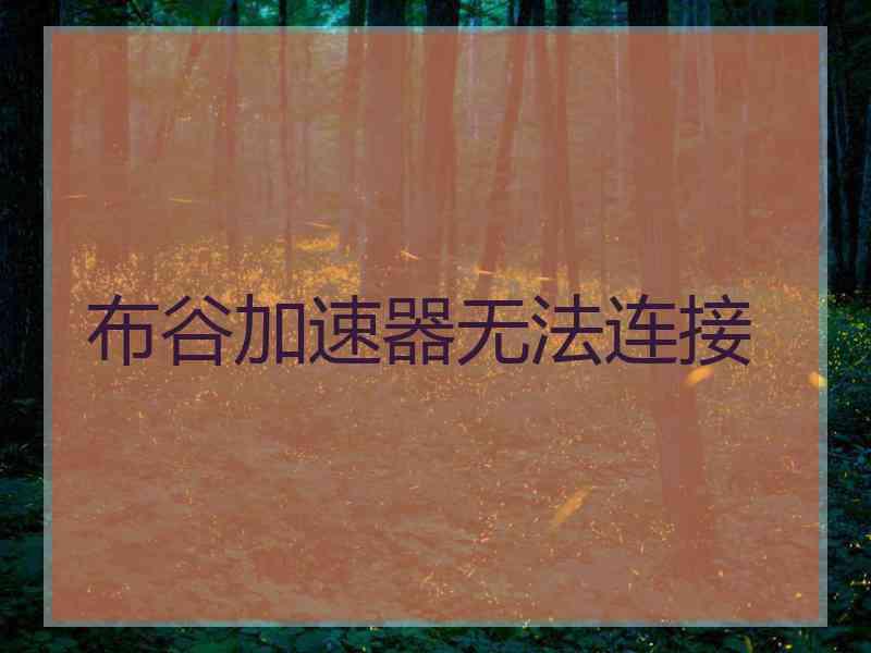 布谷加速器无法连接