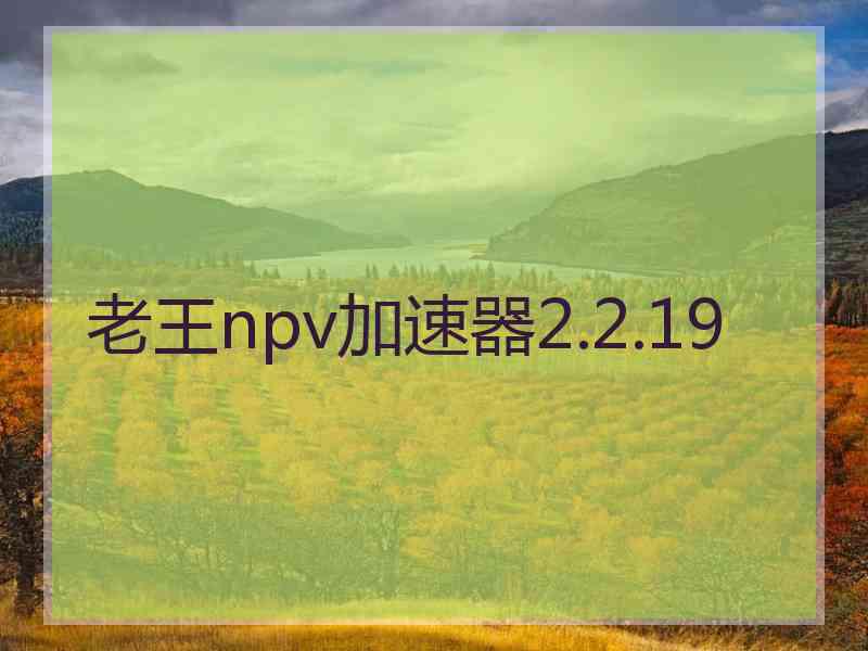 老王npv加速器2.2.19