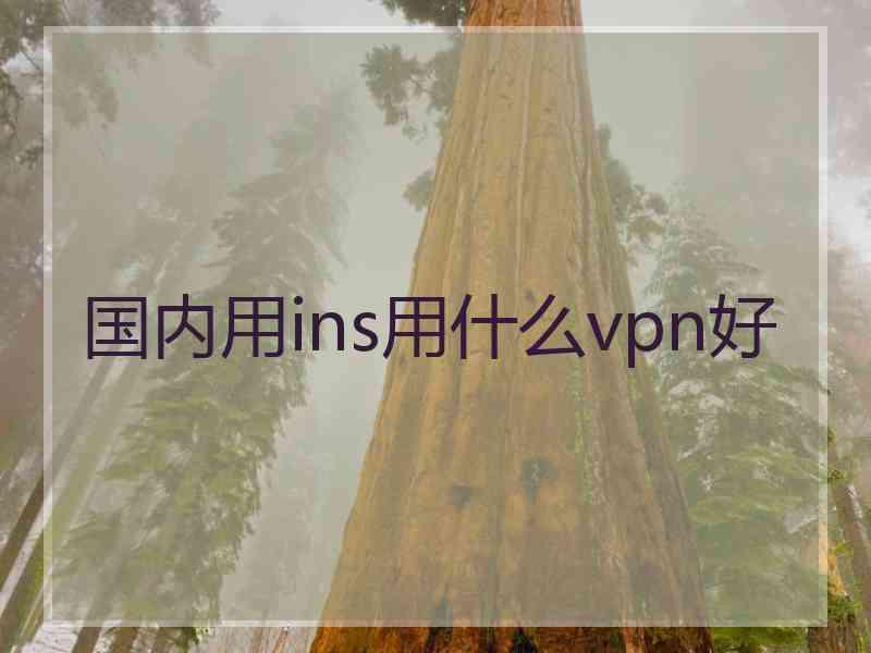 国内用ins用什么vpn好