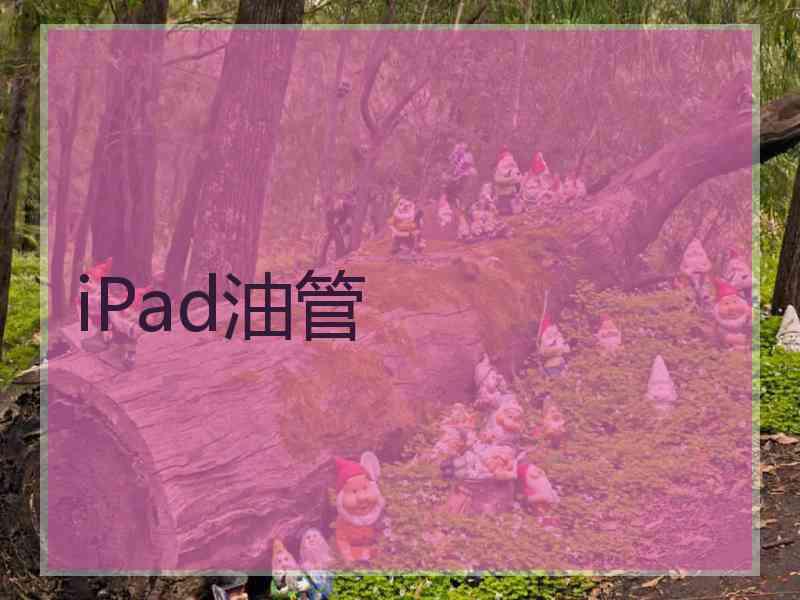 iPad油管