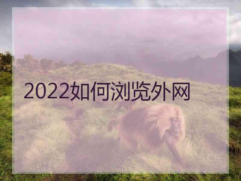 2022如何浏览外网