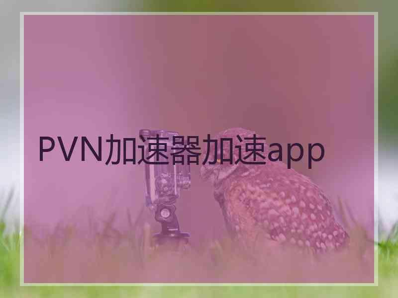 PVN加速器加速app