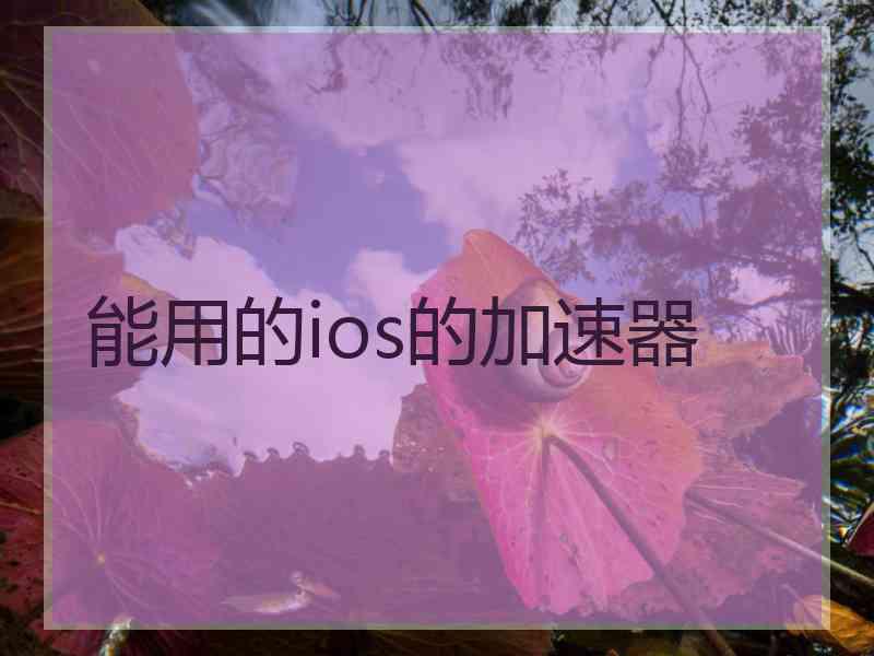 能用的ios的加速器