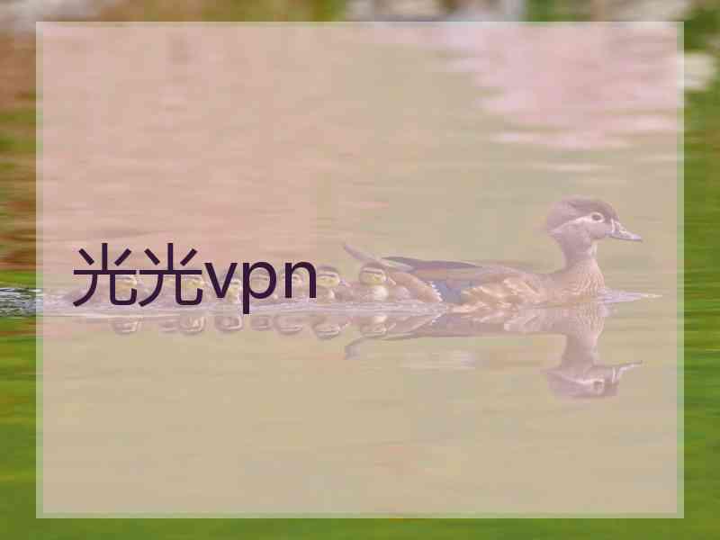 光光vpn