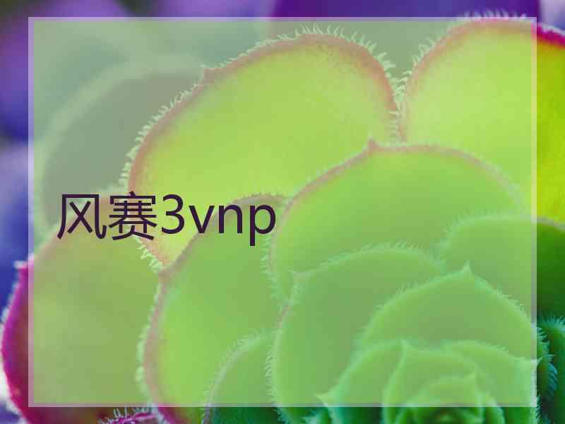 风赛3vnp