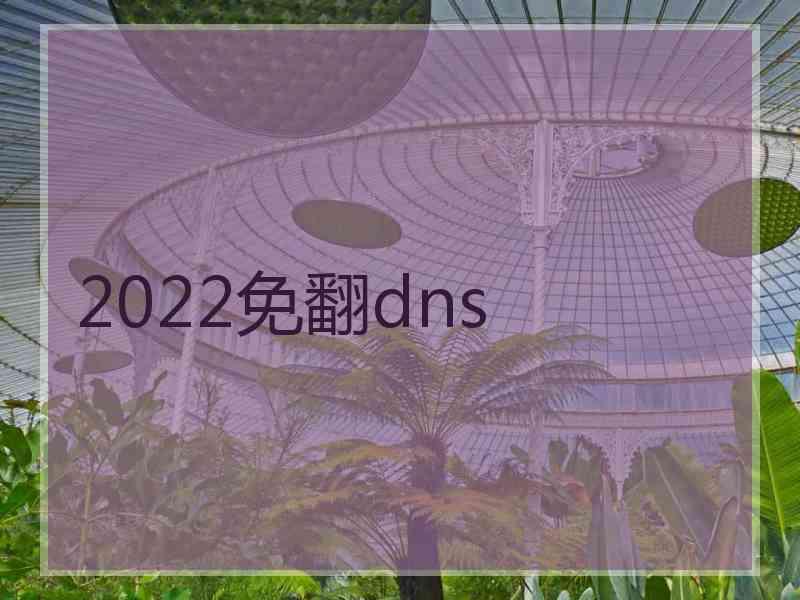 2022免翻dns