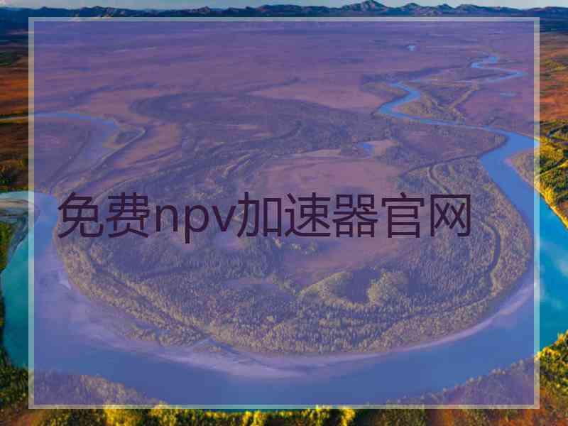 免费npv加速器官网