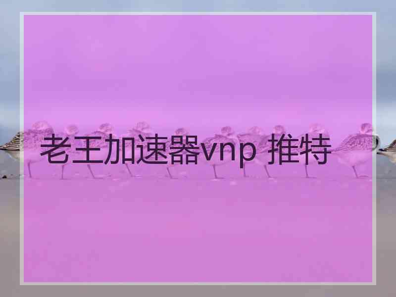 老王加速器vnp 推特