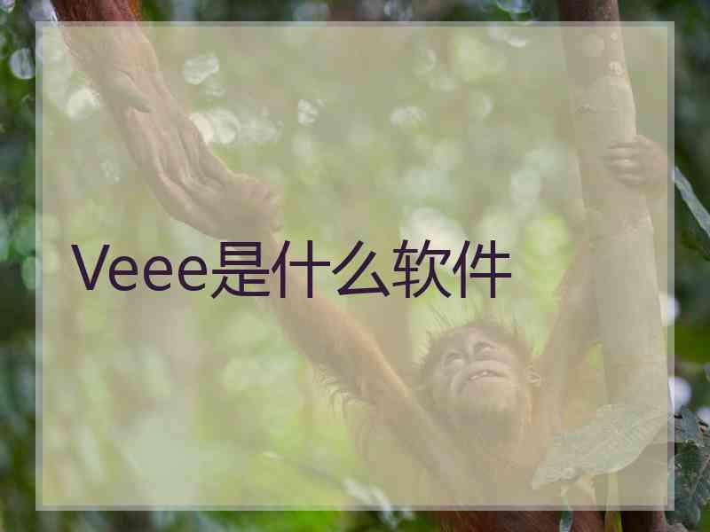 Veee是什么软件