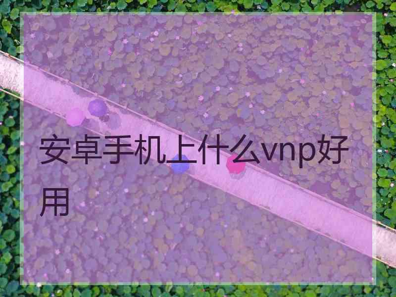 安卓手机上什么vnp好用