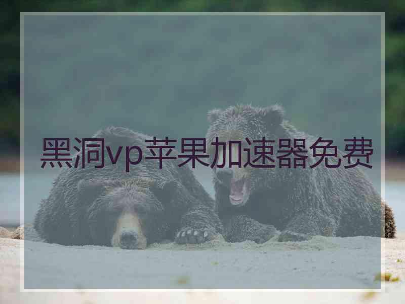 黑洞vp苹果加速器免费