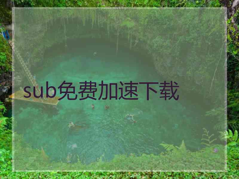 sub免费加速下载