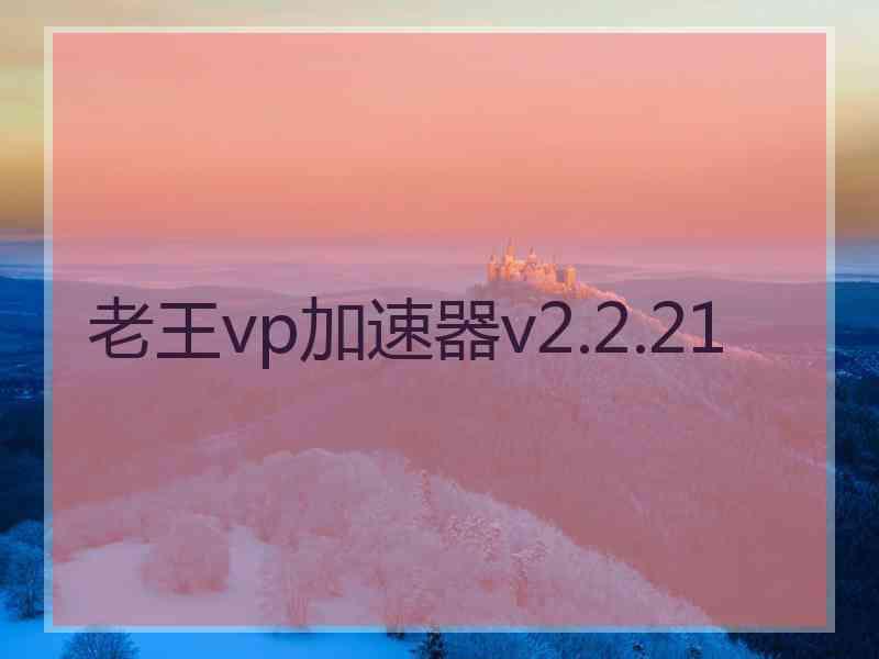 老王vp加速器v2.2.21