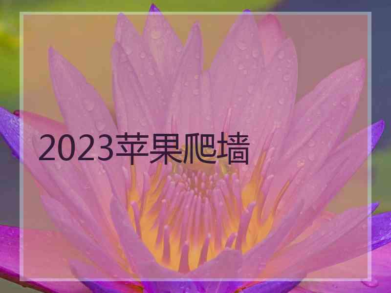 2023苹果爬墙