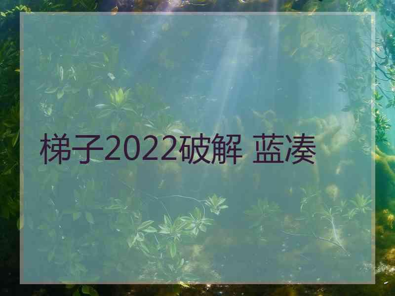 梯子2022破解 蓝凑