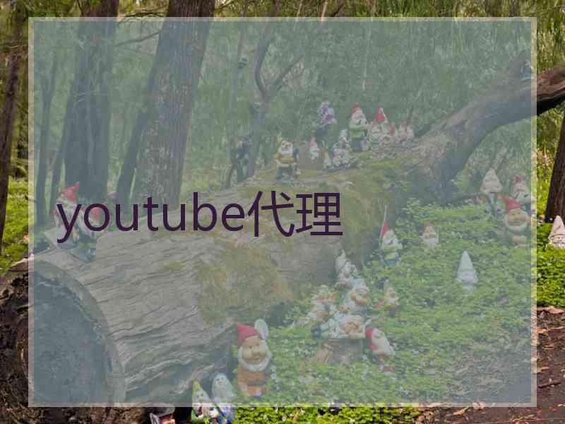 youtube代理