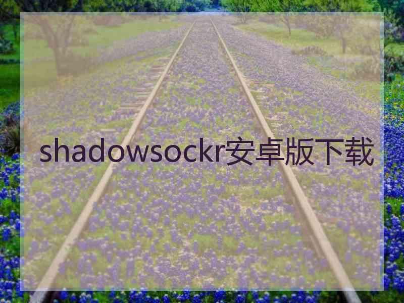 shadowsockr安卓版下载