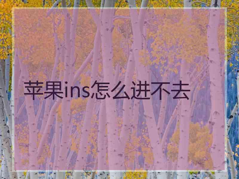 苹果ins怎么进不去